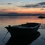 Olivera