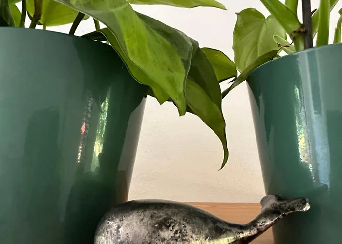 Olivera Apartman Crikvenica