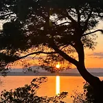 Olivera * Crikvenica