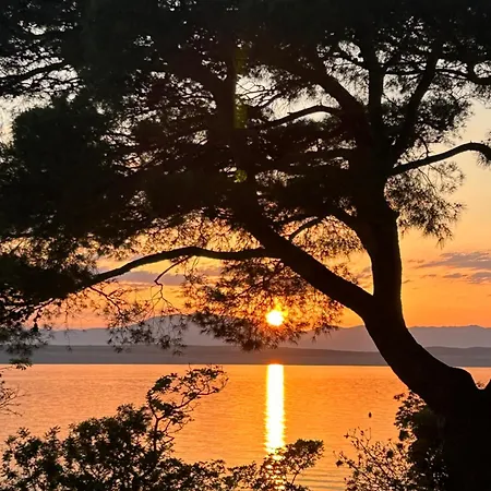 Olivera * Crikvenica