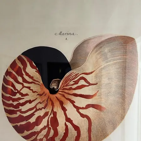 Olivera Διαμέρισμα *