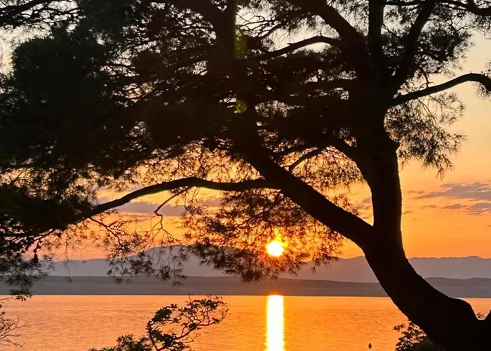 Olivera * Crikvenica